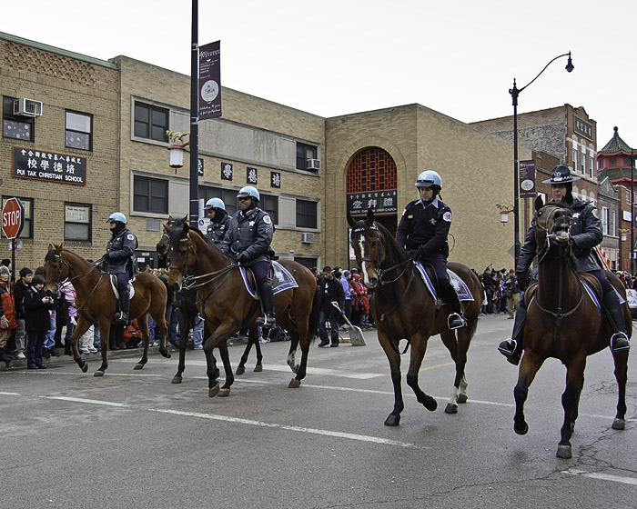 CPD Horses